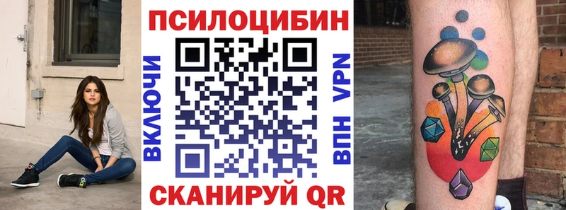 Галлюциногенные грибы Psilocybe цены гидра рабочий сайт Новотитаровская
