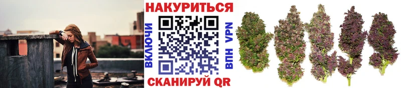 закладки  Новотитаровская  блэк спрут сайт  Бошки марихуана Amnesia 
